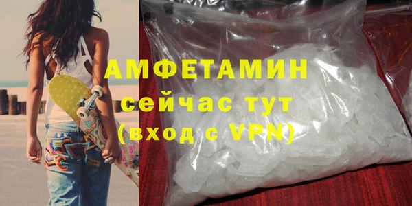 винт Лагань